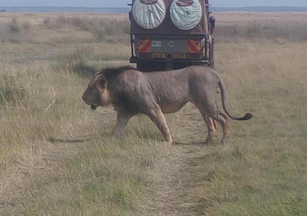 Aa Lodge Maasai Mara Talek Buitenkant foto