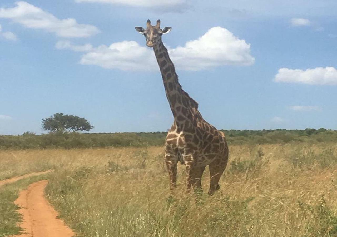 Aa Lodge Maasai Mara Talek Buitenkant foto
